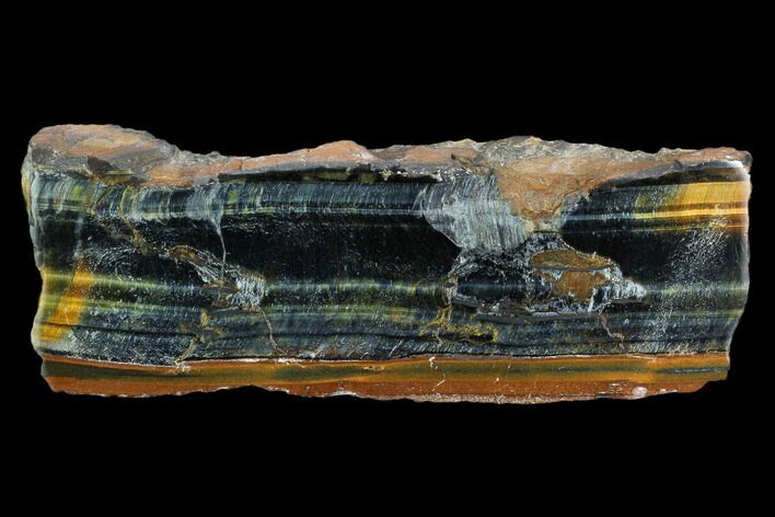 Polished Blue Tiger's Eye Section - South Africa #128470